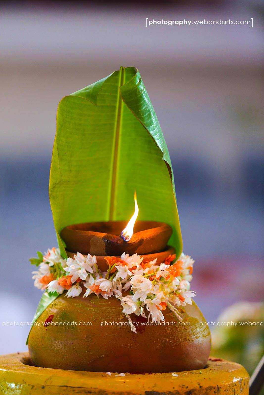 wedding-photography-hindu-wedding-chennai_241